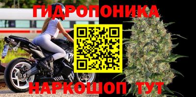 мескалин Кингисепп
