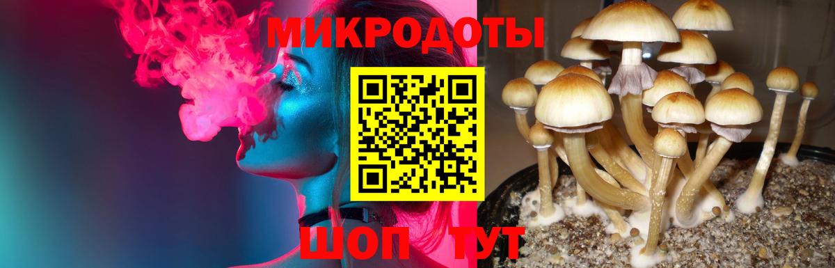 Псилоцибиновые грибы мухоморы  Вход с VPN  Калининград  Псилоцибиновые грибы Psilocybe 